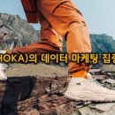 [데이터 마케팅] 호카(HOKA)의 2조 원 달성 분석: 국가별 매출 비중과 디지털 광고 ROAS의 실체