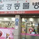 보경 동물병원 이미지