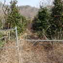 벌재농장 이미지