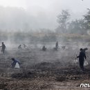 청성면다목적회관 이미지