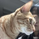 사상해오름지역아동센터 | [15] Rmhc에서 봉사하고 행운버거 먹기 ㅋ