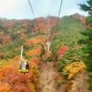 성산약수 | [공지] 2025 단풍명소 TOP7 실제로 다녀온 단풍여행 가이드 (절정시기 포함)