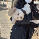 마법의 성 펜션 이미지