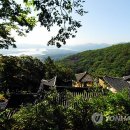 일원본-109 연합뉴스