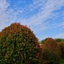 송하농장 이미지