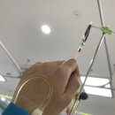 임신 후기 태아 심장 초음파(태아 심장판막역류/삼천판 역류)