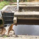 경주농원 이미지