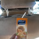 만촌늘푸른약국 | 이집트 여행 5일차_콤 옴보 에드푸, 룩소르 펠루카 투어_Feat.벨리손 투어(2)