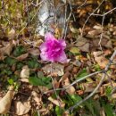 수원시청 대강당 이미지