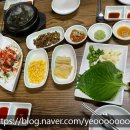 다마시떼 이미지