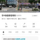 연서동물종합병원 이미지