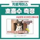 김진영내과 이미지