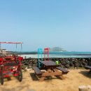 제주마중in판포 이미지