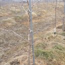 수세차카페 이미지