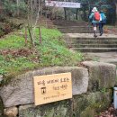 달마고도 | [블랙야크 100대 명산] 해남 달마산(달마고도 스탬프, 도솔암) 후기