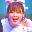 내차애