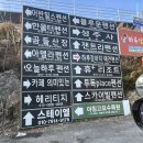 오늘하루 애견 동반 스파펜션 | 에어비엔비 오늘하루 애견동반 스파펜션