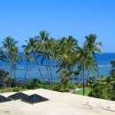 거북 파크 이미지