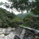 들꽃산방 이미지