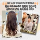 안산패션일번가 | 염색 맛집 안산미용실 살롱드로웰미 중앙점! 민형 디자이너에게 웜톤 피부에 맞는 염색 시술 받은 후기!