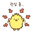 (주)티르티르 이미지