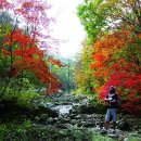 원대황토민박 이미지