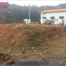 만취정로 네이버블로그