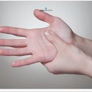 잘본정형외과의원 이미지