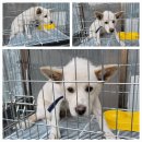 하평지길 이미지