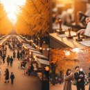 사각사각 이미지