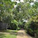 토토식당 이미지