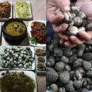 낙양농장 이미지