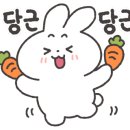 네일숲 이미지