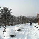 (01/21) 청양 칠갑산 알프스마을 출렁다리 원정 안내입니다 이미지