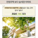신화앞오름
