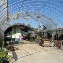 월산로30번길 이미지