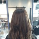 트레보헤어 이미지