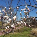 신동수변 이미지