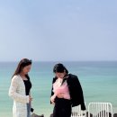 배나온언니#