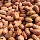 김천땅콩 이미지