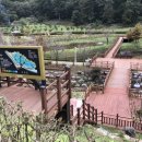 신상동 인공습지 이미지