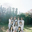 나인 티브이데일리