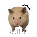 센트로렌트카 이미지