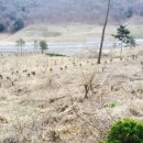 합성동102 이미지