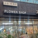 창조꽃집 | [제주꽃집] 입학식 졸업식 인싸 등극! 제주프리저브드 &amp; 커스텀 꽃다발 전문 ‘전지현플라워’