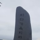 삶에 노래 이미지