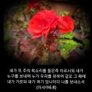 샬롬 이미지