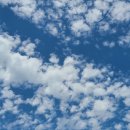 진안카센타 이미지