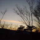 썬리치C.C. 이미지