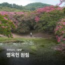 명옥헌정원1(주차장) | 8월에 가볼만한곳 담양 명옥헌 원림 여름 데이트